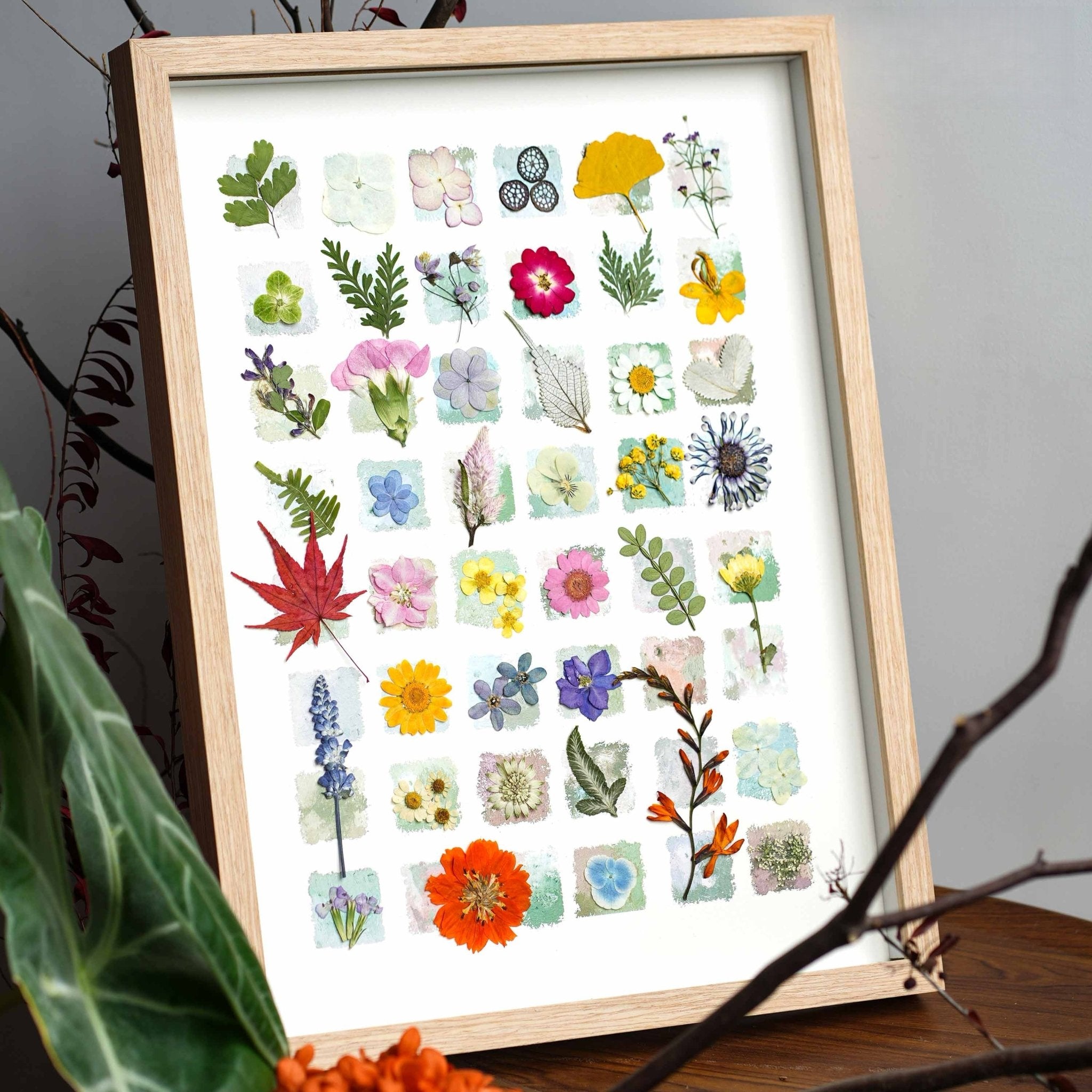 "The Grand Botanical Mosaic" - 48 - Grid Real Specimen Shadow Box Art (Extra Large) - Yunicrafts