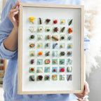 "The Grand Botanical Mosaic" - 48 - Grid Real Specimen Shadow Box Art (Extra Large) - Yunicrafts