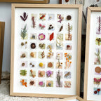 "The Grand Botanical Mosaic" - 48 - Grid Real Specimen Shadow Box Art (Extra Large) - Yunicrafts