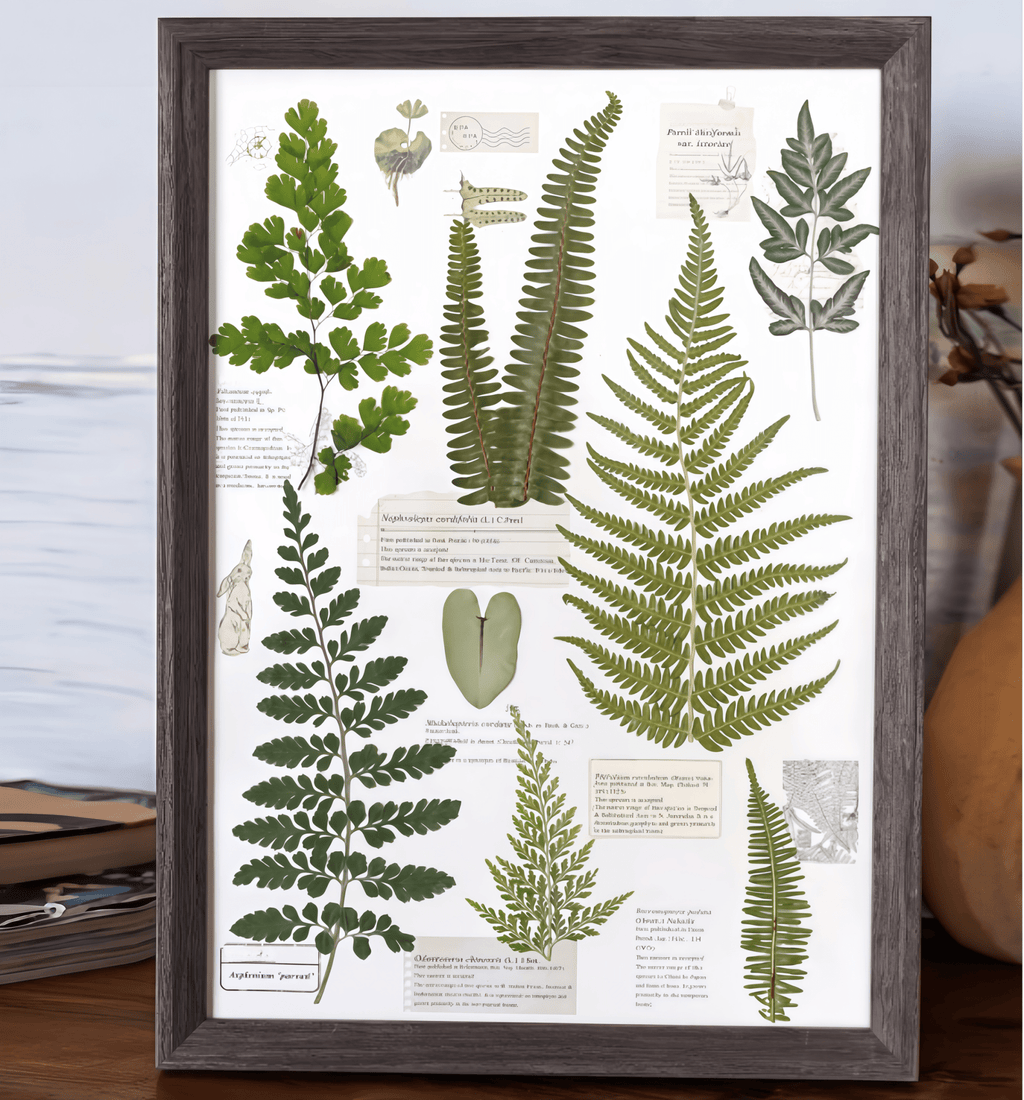 "The Grand Herbarium" - Large Real Pressed Fern & Flower Art (A3 Size) - Yunicrafts