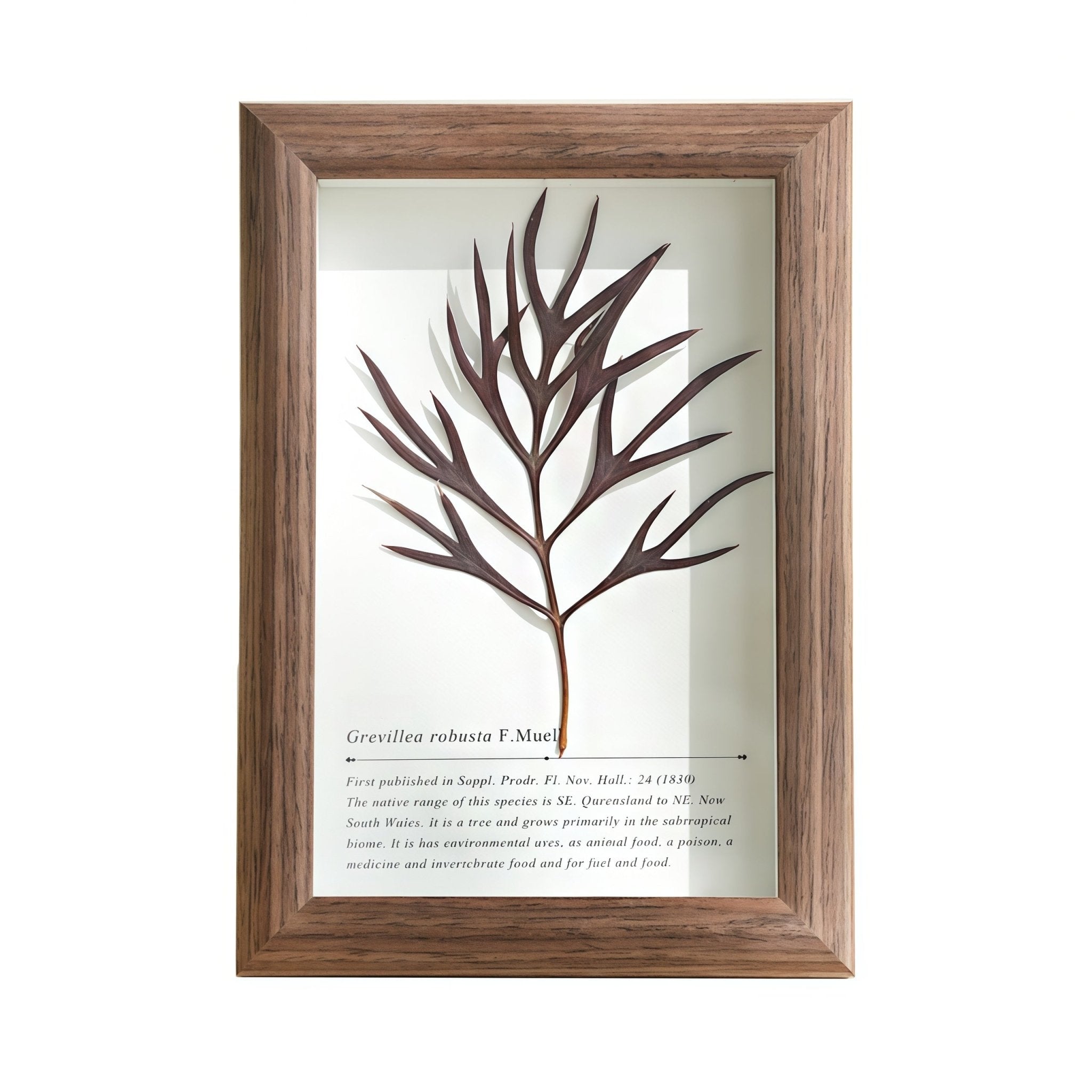 "The Landscape Garden" - Real Preserved Flower Shadow Box (Panoramic Desk Decor) - Yunicrafts