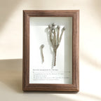 "The Landscape Garden" - Real Preserved Flower Shadow Box (Panoramic Desk Decor) - Yunicrafts