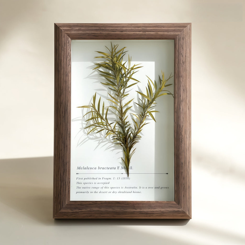 "The Landscape Garden" - Real Preserved Flower Shadow Box (Panoramic Desk Decor) - Yunicrafts