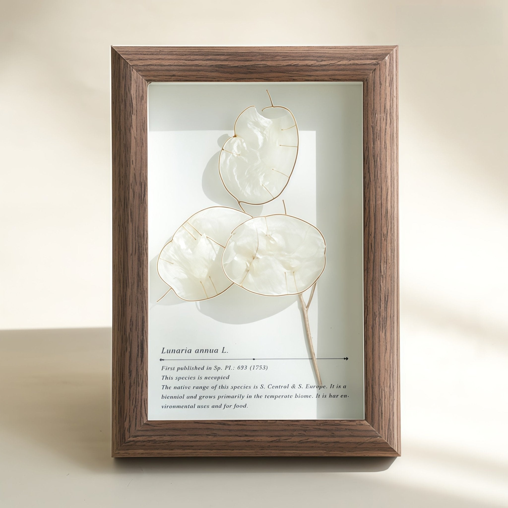 "The Landscape Garden" - Real Preserved Flower Shadow Box (Panoramic Desk Decor) - Yunicrafts