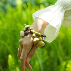 "Tribal Vine" Natural Branch Seed Bangle - Yunicrafts
