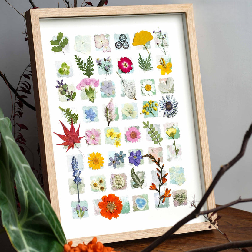 "O Grande Mosaico Botânico" - 48 - Grade Real Specimen Shadow Box Art (Extra Grande) - __Yunicrafts__