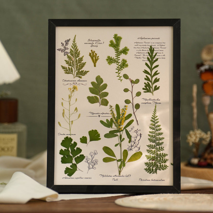 "The Botanist's Journal" - Molduras de arte com flores e folhagem real prensada (4 temas) - __Yunicrafts__