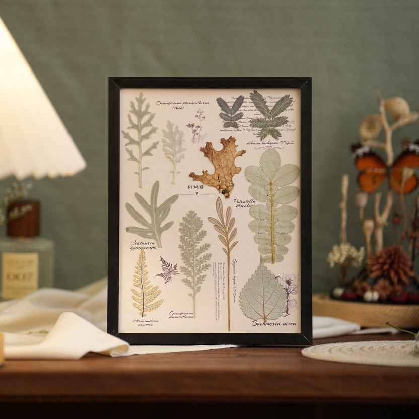 "The Botanist's Journal" - Molduras de arte com flores e folhagem real prensada (4 temas) - __Yunicrafts__