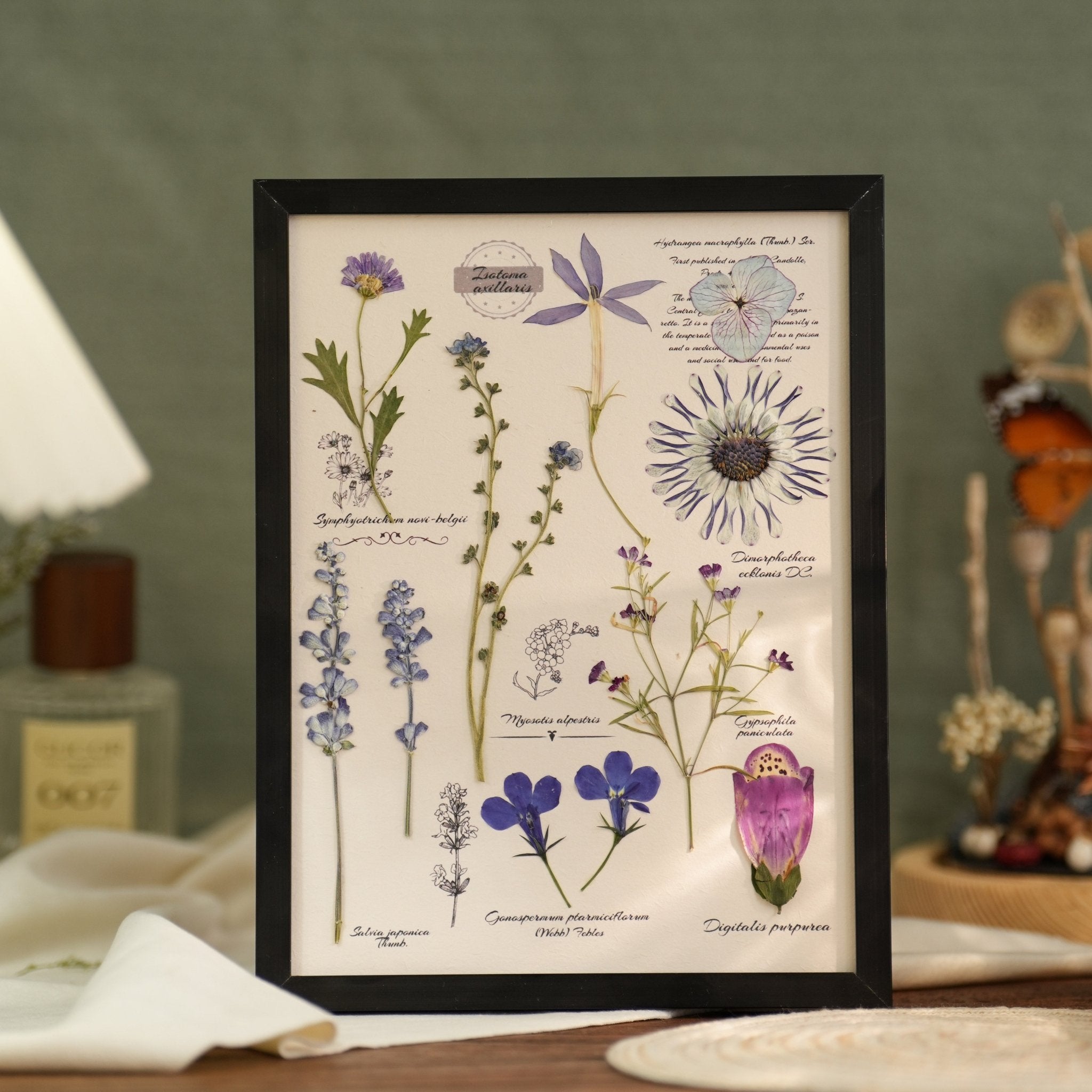 ジャーナルスタンダードファニチャー 押し花 アート  インダストリアル 雑貨 本物の押し花とシダのフレーム - Botanist Journal – Yunicrafts