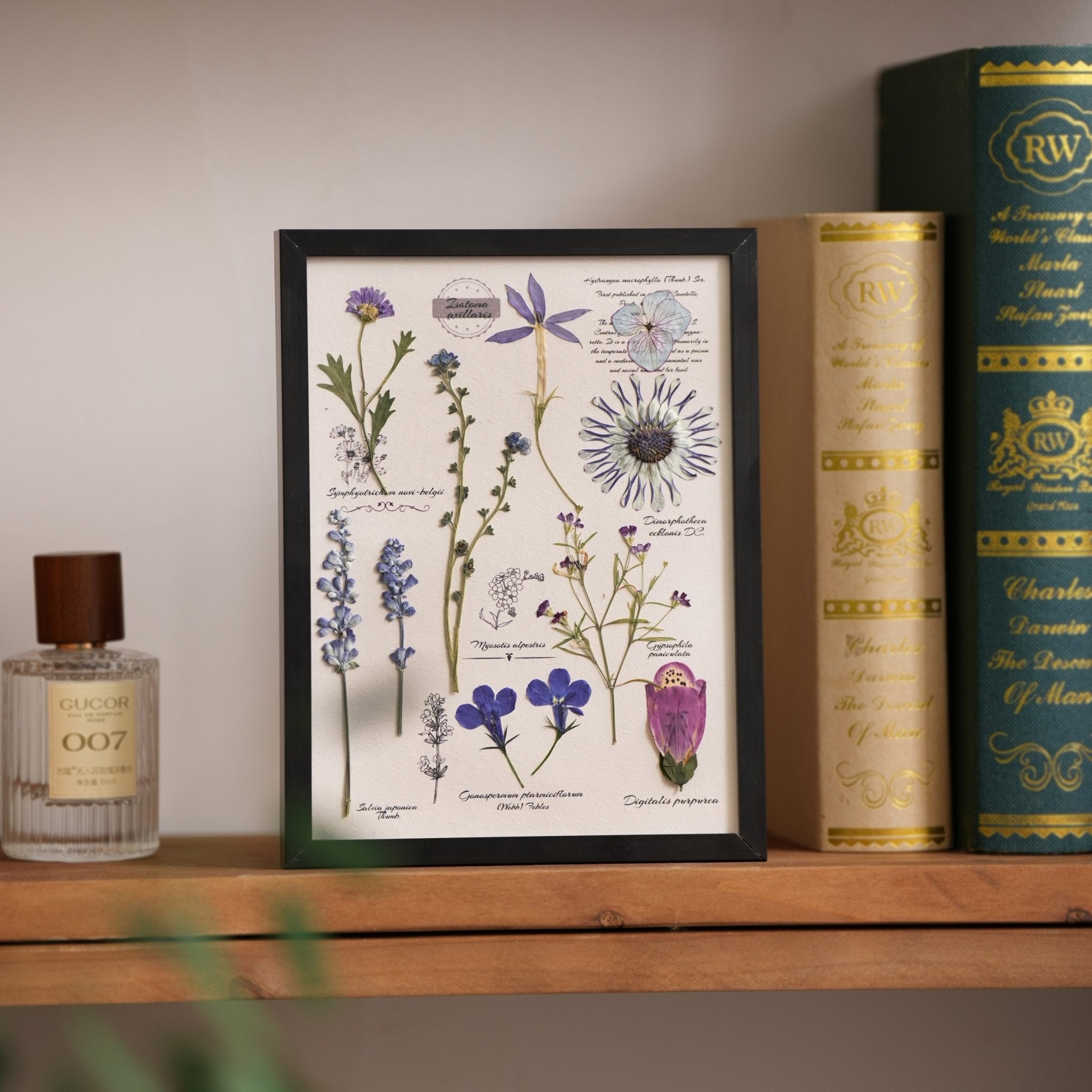 "The Botanist’s Journal" - Real Pressed Flower & Foliage Art Frames (4 Themes) - Yunicrafts