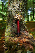 Handmade Chacha Oleander Seed Pod Wooden Handle Shaker – Rainforest Rhythm Instrument - Yunicrafts