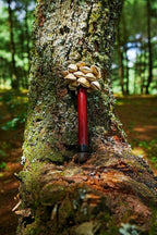 Handmade Chacha Oleander Seed Pod Wooden Handle Shaker – Rainforest Rhythm Instrument - Yunicrafts