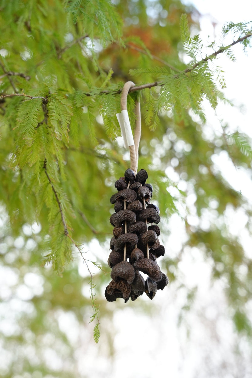 Agitador de sementes | Sino de mão feito à mão com casca de semente __Moonin__ - Decoração natural de floresta tropical - __Yunicrafts__