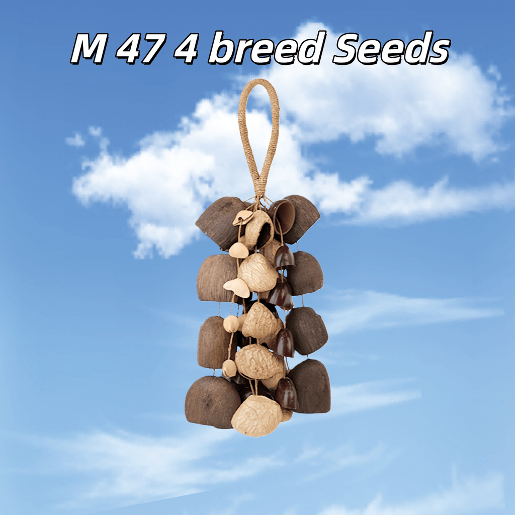 Seed Shaker | Handmade Entada, Pala Cardamom & Chacha Oleander Seed Shell Hand Bell– Natural Rainforest Sound - Yunicrafts