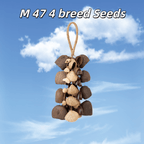 Seed Shaker | Handmade Entada, Pala Cardamom & Chacha Oleander Seed Shell Hand Bell– Natural Rainforest Sound - Yunicrafts