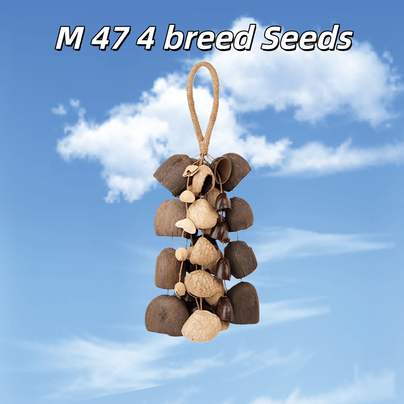 Agitador de sementes | Feito à mão __Entada__, __Pala__ Cardamomo e __Chacha__ Oleander Seed Shell Hand Bell - Som natural da floresta tropical - __Yunicrafts__