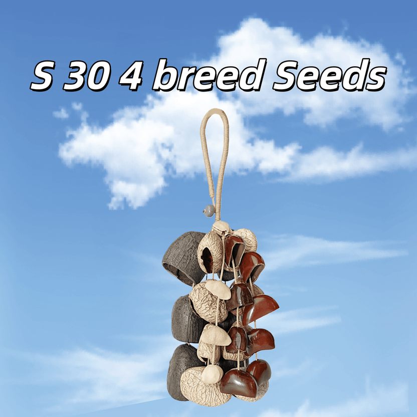 Agitador de sementes | Feito à mão __Entada__, __Pala__ Cardamomo e __Chacha__ Oleander Seed Shell Hand Bell - Som natural da floresta tropical - __Yunicrafts__