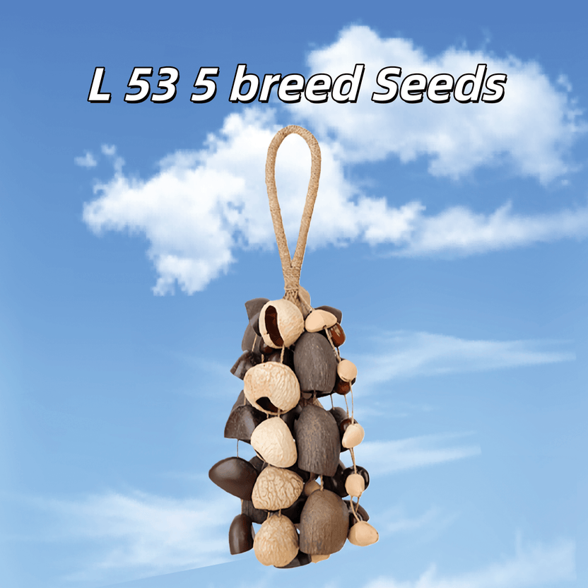 Agitador de sementes | Feito à mão __Entada__, __Pala__ Cardamomo e __Chacha__ Oleander Seed Shell Hand Bell - Som natural da floresta tropical - __Yunicrafts__