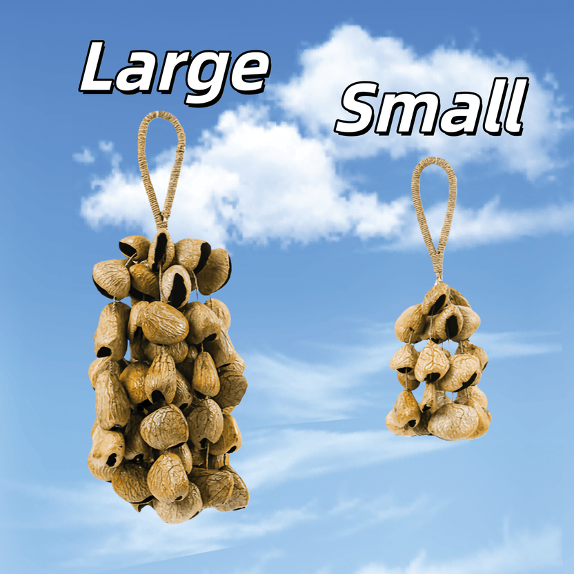 Agitador de sementes | Sino de mão com casca de semente de fruta branca feito à mão __Panji__ - Decoração de som de floresta tropical natural - __Yunicrafts__