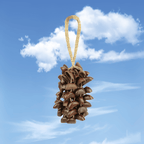 Seed Shaker | Handmade Juju Duckfoot Vine Seed Shell Hand Bell – Natural Rainforest Sound Decor - Yunicrafts