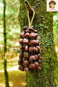 Seed Shaker | Handmade Juju Duckfoot Vine Seed Shell Hand Bell – Natural Rainforest Sound Decor - Yunicrafts