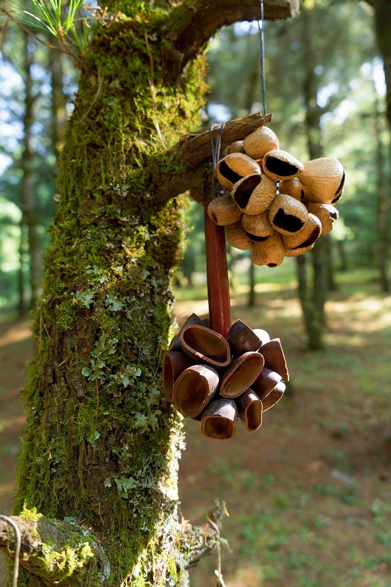 Agitador feito à mão com cabo de madeira para vagens de sementes __Juju__ - Percussão natural da floresta tropical - __Yunicrafts__