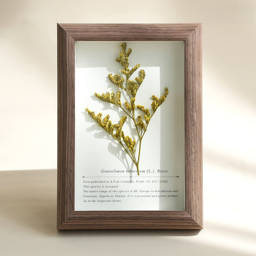 "The Landscape Garden" - Caixa de sombra de flores reais preservadas (decoração de mesa panorâmica) - __Yunicrafts__