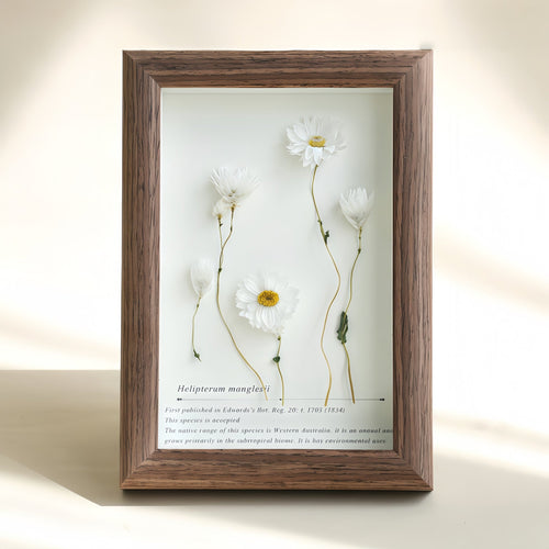 „Der Landschaftsgarten“ – Schattenbox mit echten konservierten Blumen (Panorama-Schreibtischdekoration) – Yunicrafts