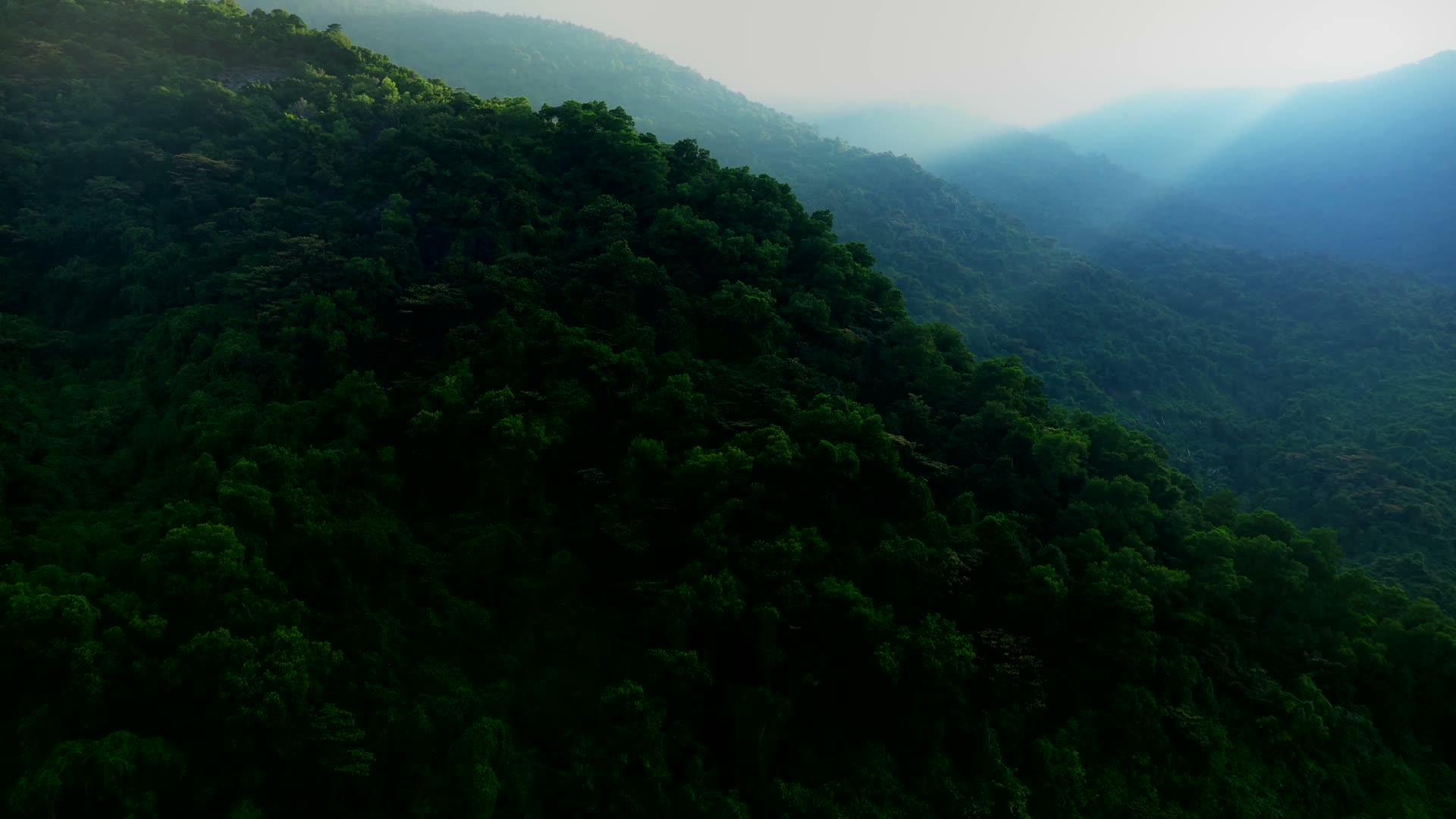 Yunicrafts handmade natural sound gift in a rainforest setting